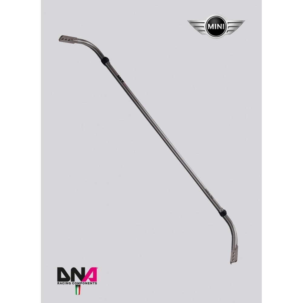 Πίσω ρυθμιζόμενη αντιστρεπτική 22mm της DNA Racing για Mini Cooper R50/R52/R53/R55/R56/R57 (PC0186)