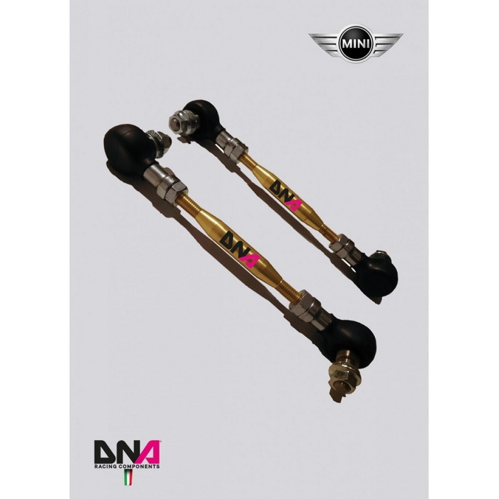Μπαράκια πίσω αντιστρεπτικής της DNA Racing για Mini Cooper R50/R52/R53/R55/R56/R57 (PC0811)